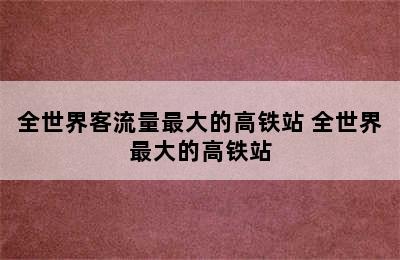 全世界客流量最大的高铁站 全世界最大的高铁站